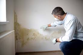 Forensic Mold Investigation in Mission Viejo, CA